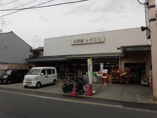 京都市左京区一乗寺松田町の土地(生鮮館なかむら一乗寺店)