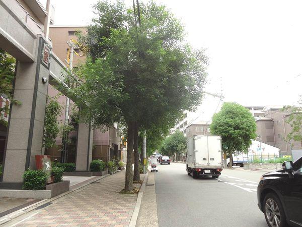 パデシオン京都駅前