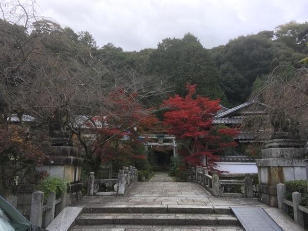 京都市左京区北白川仕伏町の中古一戸建て