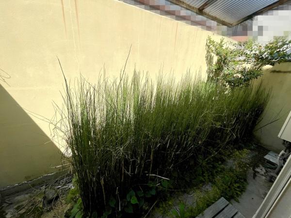 京都市北区紫竹下芝本町の中古一戸建て