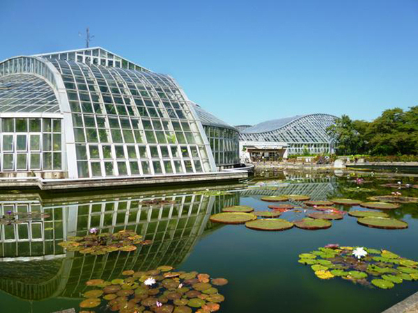 京都市北区紫野下柳町の土地(京都府立植物園)