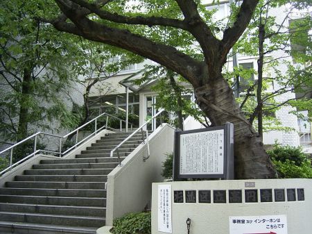 杉並区高円寺南4丁目の中古一戸建て(杉並区立高円寺図書館)