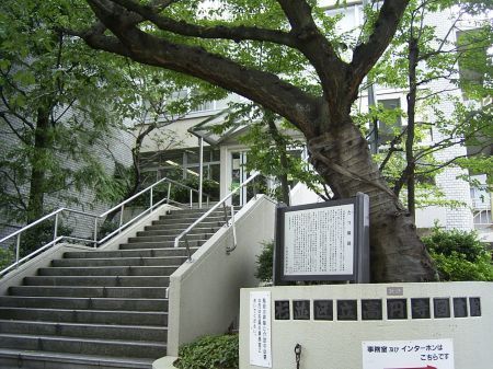 杉並区高円寺南４丁目の中古一戸建て(杉並区立高円寺図書館)