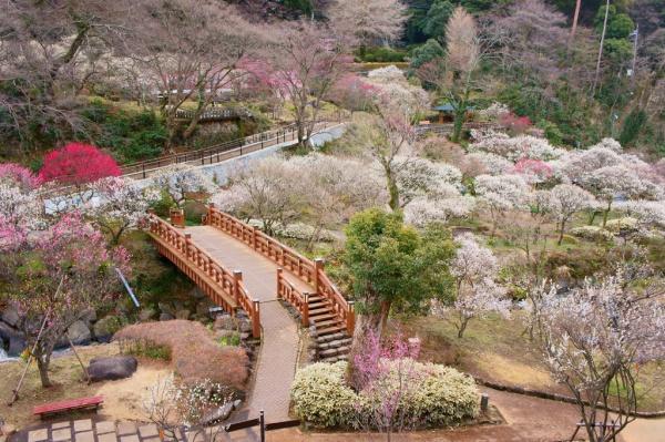 熱海市熱海の中古一戸建て(熱海梅園)