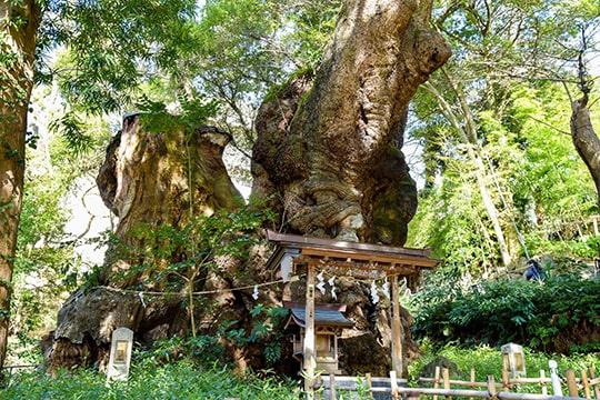 熱海市熱海の中古一戸建て(来宮神社)