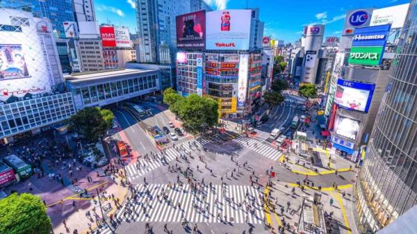 タワーテラス目黒青葉台(渋谷駅(JR東日本山手線(湘南新宿ライン)))