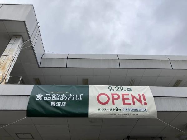 たまプラーザパーク・ホームズ(食品館あおば鷺沼店)