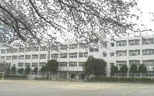 大和市中央林間西5丁目の土地(大和市立緑野小学校)