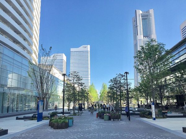 モンテベルデ横浜(グランモール)
