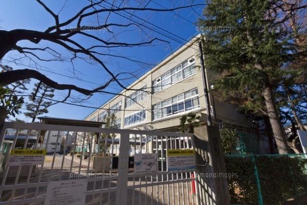ライオンズマンション新高円寺(杉並区立済美小学校)