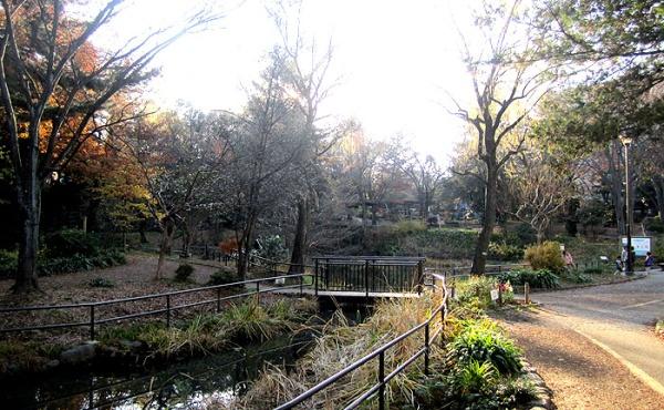 ソルジェガーデン(藤が丘公園)
