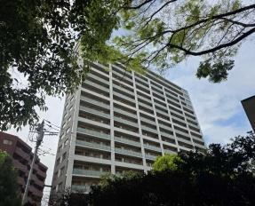 渋谷アインス