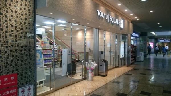 ミオカステーロ青葉台(青葉台東急スクエアNorth－1)