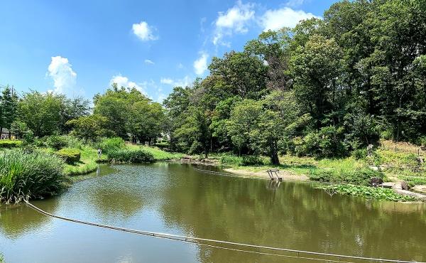 ミオカステーロ青葉台(桜台公園)