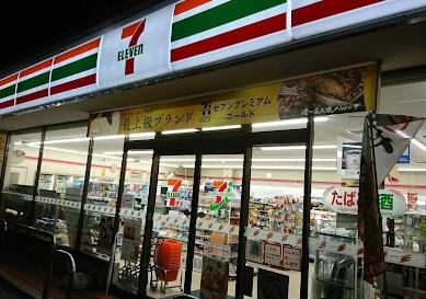 南馬込スカイハイツ(セブンイレブン馬込桜並木通り店)