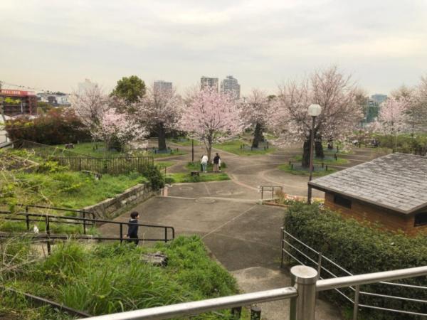 シーアイマンション神奈川(幸ケ谷公園)