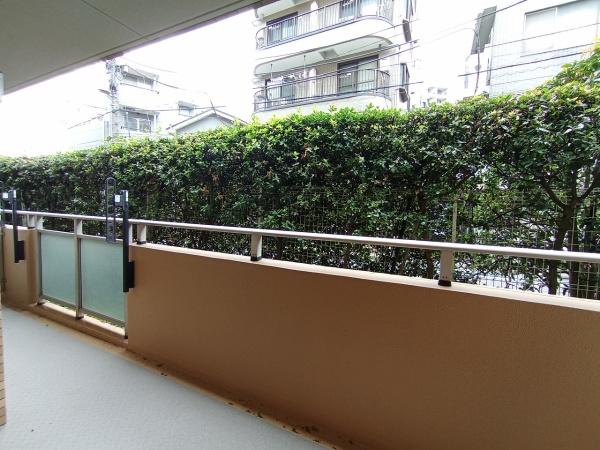 ソフィア学芸大学
