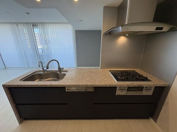 ロイヤルシーズン溝の口CASA