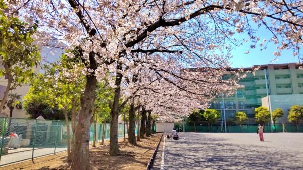 グランドメゾン鶴見(市場旧東海道公園)