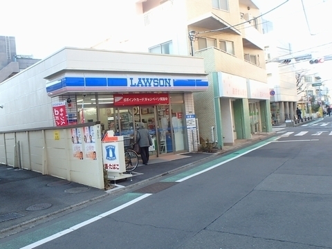 ディアナコート二子玉川園(ローソン世田谷玉川三丁目店)