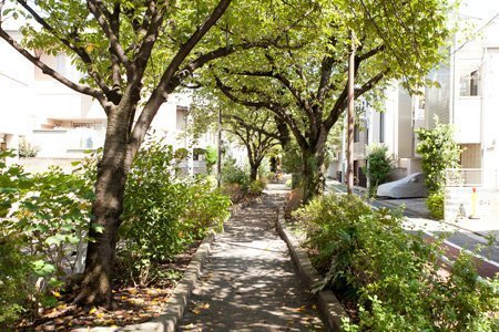 ディアナコート八雲桜樹(呑川柿の木坂支流緑道)