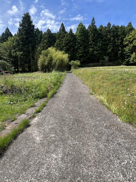内野売土地