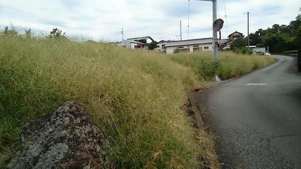 富士宮市杉田の土地