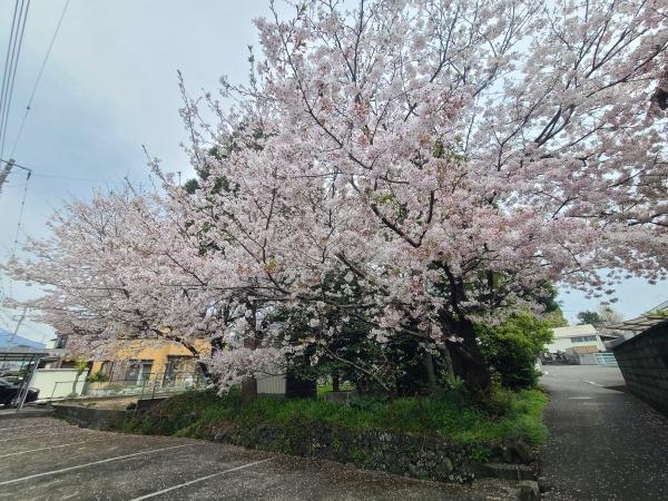 富士市比奈の土地