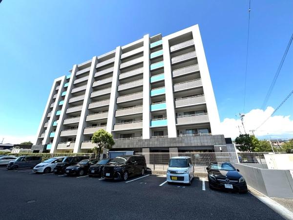 エフグレイス41