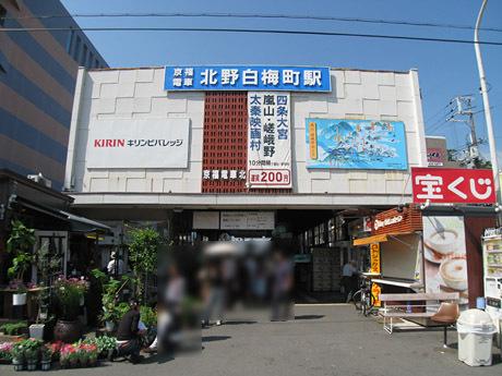 京都市北区衣笠開キ町の土地(北野白梅町駅(京福北野線))