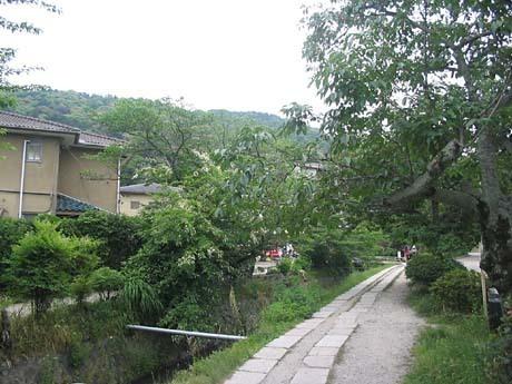 京都市左京区鹿ケ谷桜谷町の土地(哲学の道)