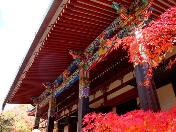 京都市左京区鹿ケ谷桜谷町の土地(禅林寺（永観堂）)