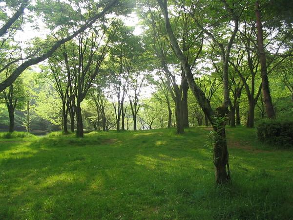 京都市左京区静市市原町の中古一戸建て(宝が池公園)