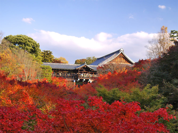 京都市東山区今熊野南日吉町の土地(大本山東福寺)