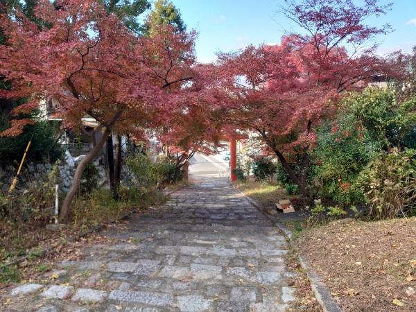 京都市左京区吉田神楽岡町の売土地