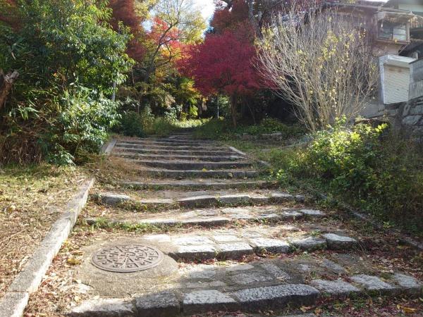 京都市左京区吉田神楽岡町の土地