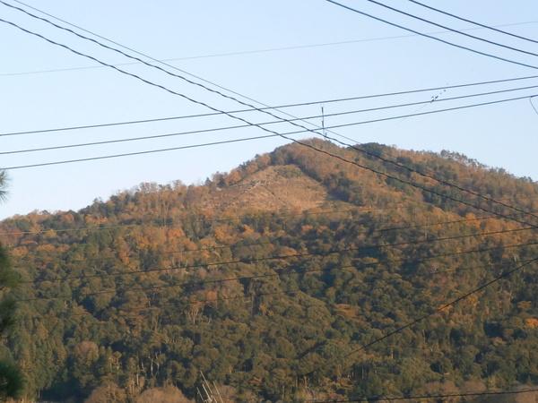 京都市左京区吉田神楽岡町の中古一戸建て