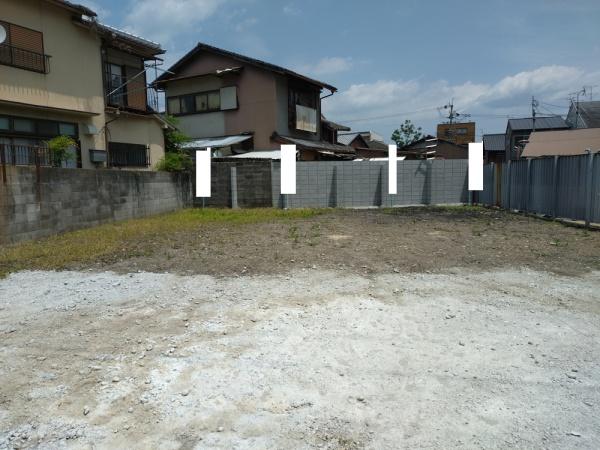 １号地