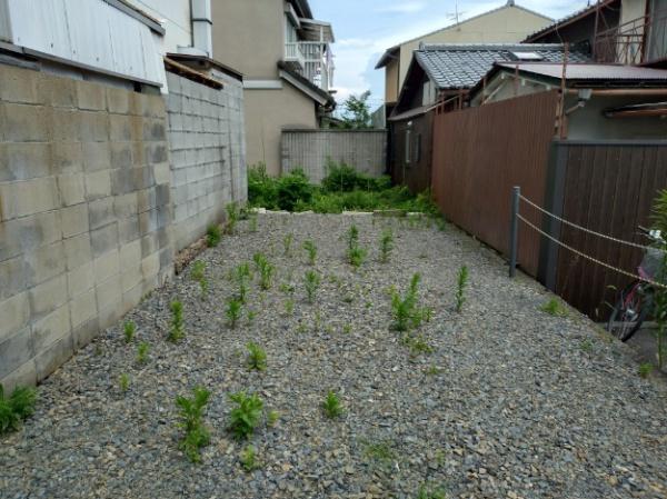 京都市北区紫野郷ノ上町の土地