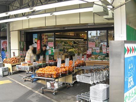 京都市左京区修学院中林町の土地(八百民)