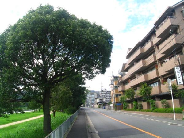 アンビエント上賀茂