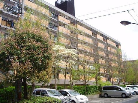 東大路高野第三住宅第16棟