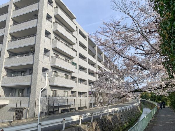エスリード一乗寺