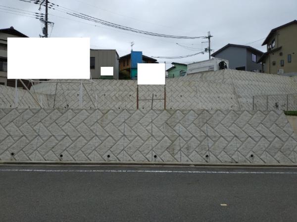 ６号地