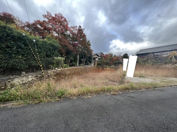 1号地
