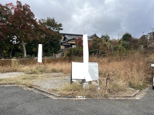 1号地