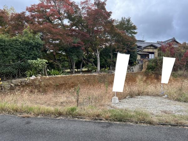 1号地