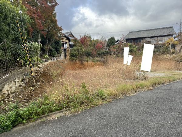 1号地