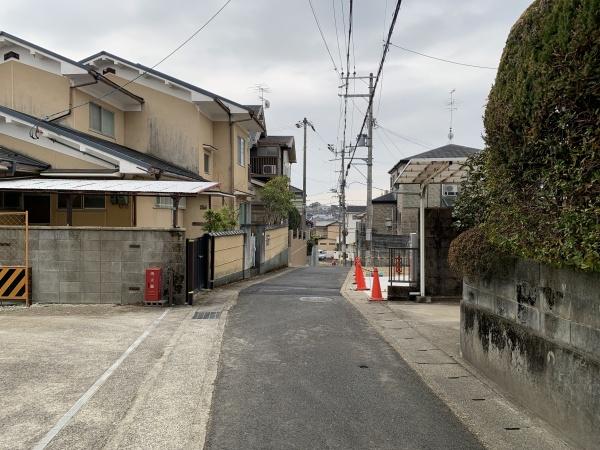 １期１号地