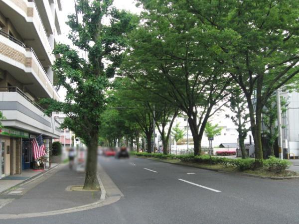 ヴィベール北白川
